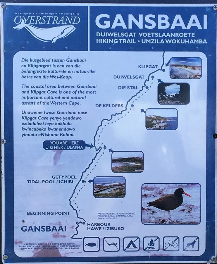 Marine 5 Boutique Hotel Gansbaai Exteriör bild